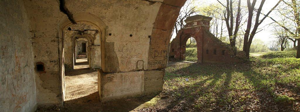 Циків з panoramio.com - Tsykiv