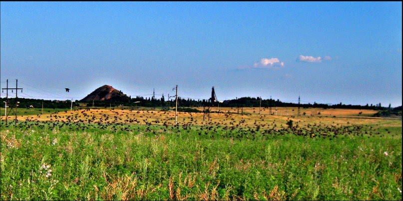 Вугляр з panoramio.com - Вугляр