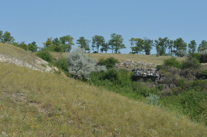 Стила з panoramio.com - Стыла