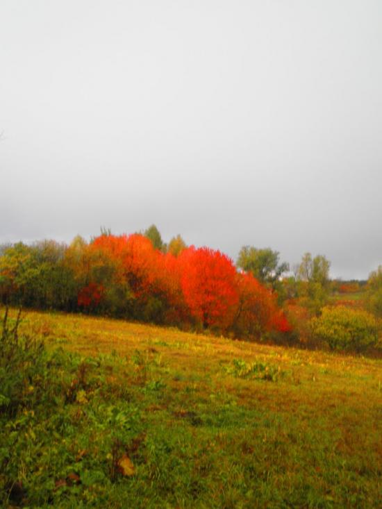 Чудинівці з panoramio.com - Чудинівці