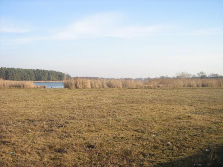 Гупалівка з panoramio.com - Гупаловка