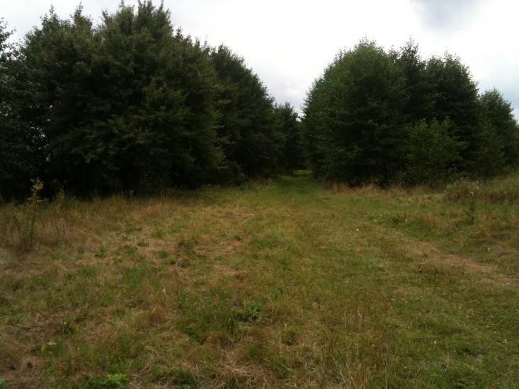 Любитове з panoramio.com - Любитово