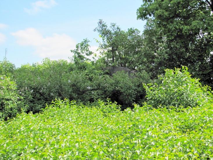 Карасин з panoramio.com - Карасин