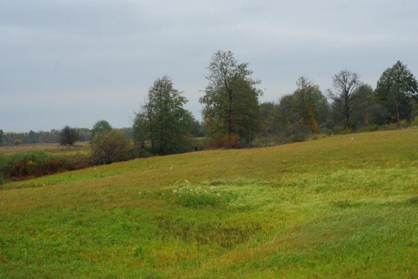Остапівка з panoramio.com - Остаповка