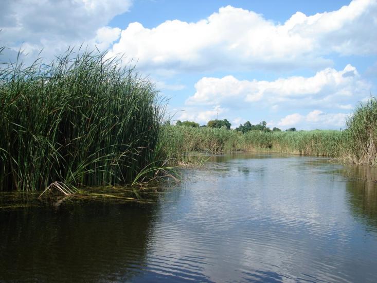 Протопопівка з panoramio.com - Protopopivka