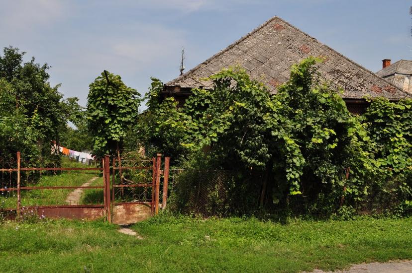 Малі Селменці з panoramio.com - Малые Селлменцы