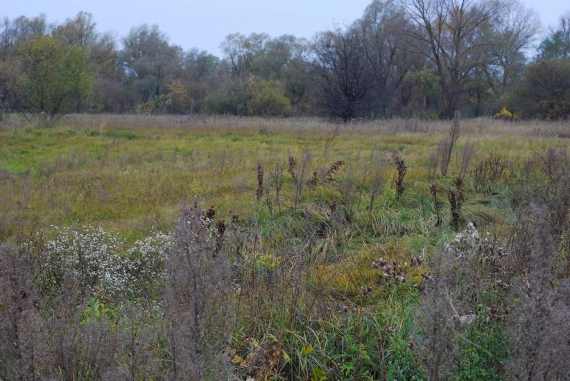 Остапівка з panoramio.com - Остапівка