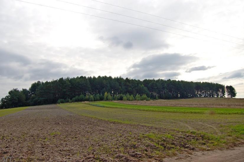 Велика Ведмежка з panoramio.com - Великая Ведмежка