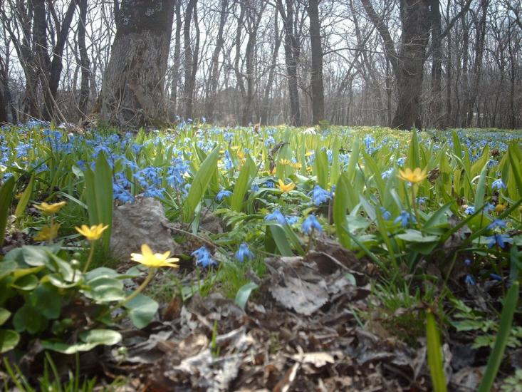 Времівка з panoramio.com - Времівка