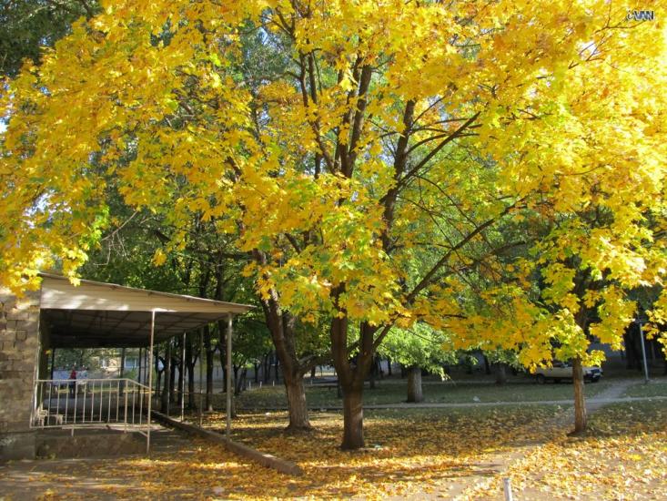 Світлодарськ з panoramio.com - Світлодарськ