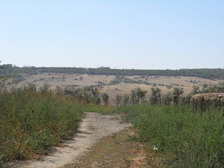 Березине з panoramio.com - Березино