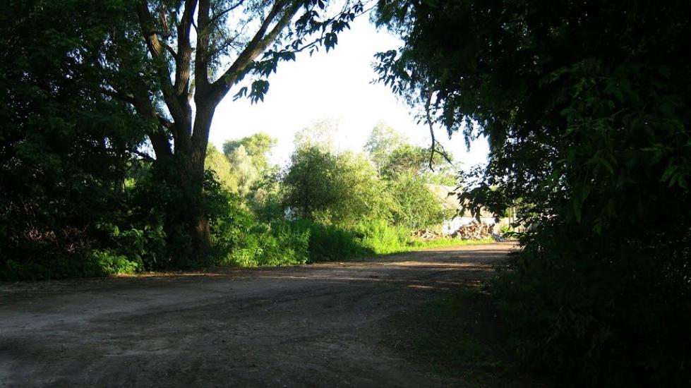 Підлісне з panoramio.com - Підлісне