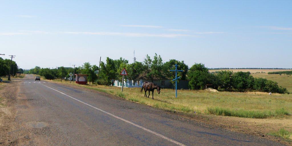 Широколанівка з panoramio.com - Широколановка