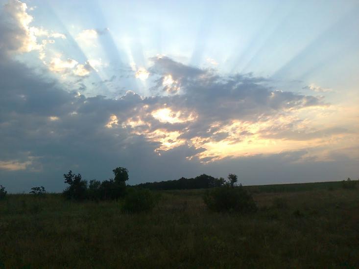 Раєво-Олександрівка з panoramio.com - Раєво-Олександрівка