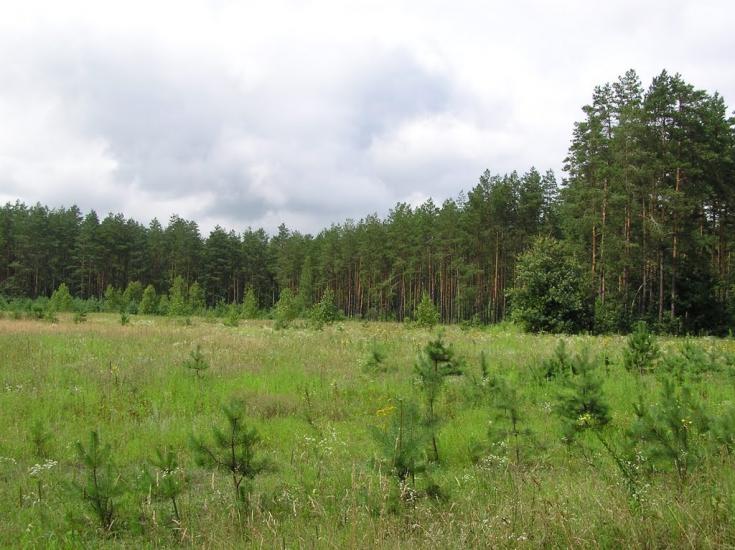 Горщик з panoramio.com - Горщик