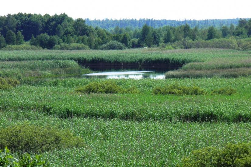 Бучин з panoramio.com - Бучин