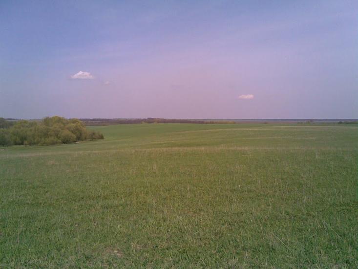 Кошляки з panoramio.com - Koshlyaky