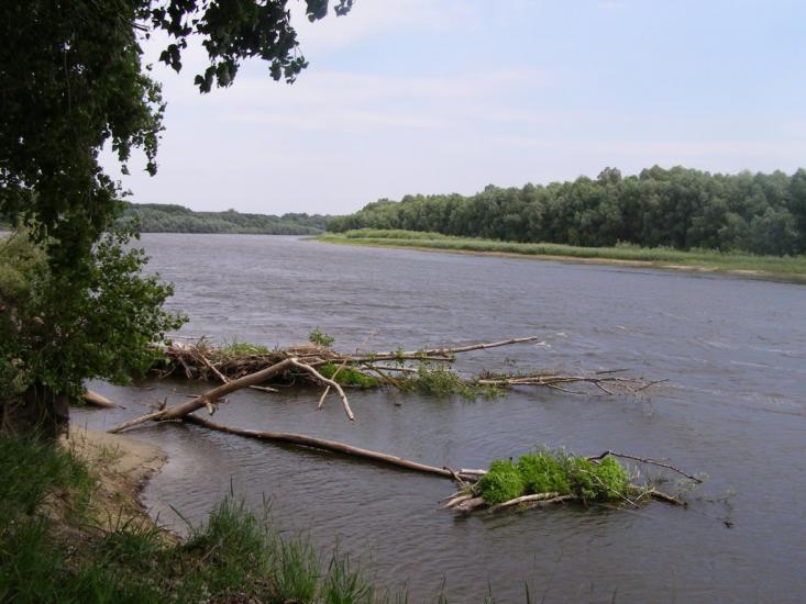 Брусилів з panoramio.com - Брусилов