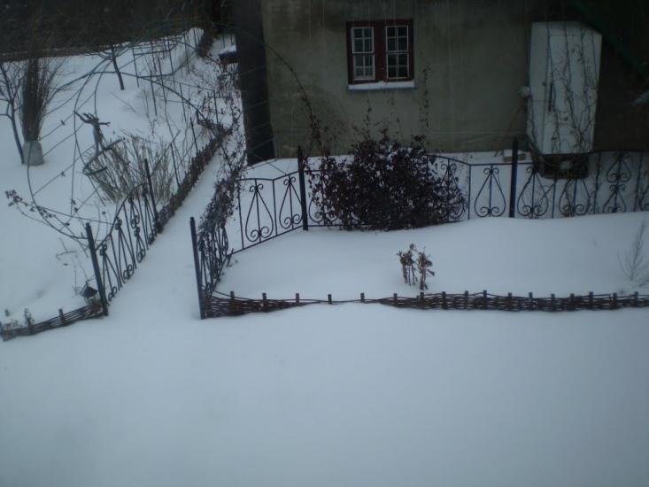 Дядьковичі з panoramio.com - Дядьковичі