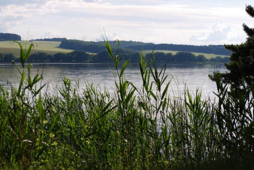 Степашки з panoramio.com - Степашки