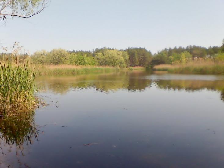 Леськи з panoramio.com - Леськи
