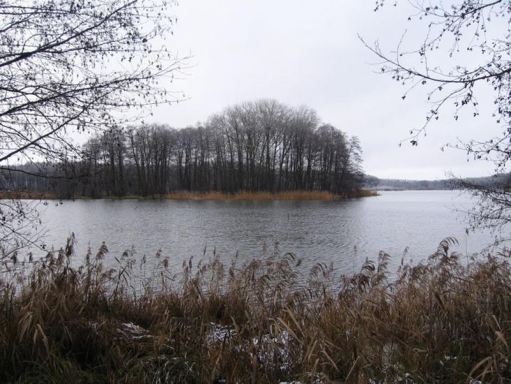 Іволжанське з panoramio.com - Иволжанское