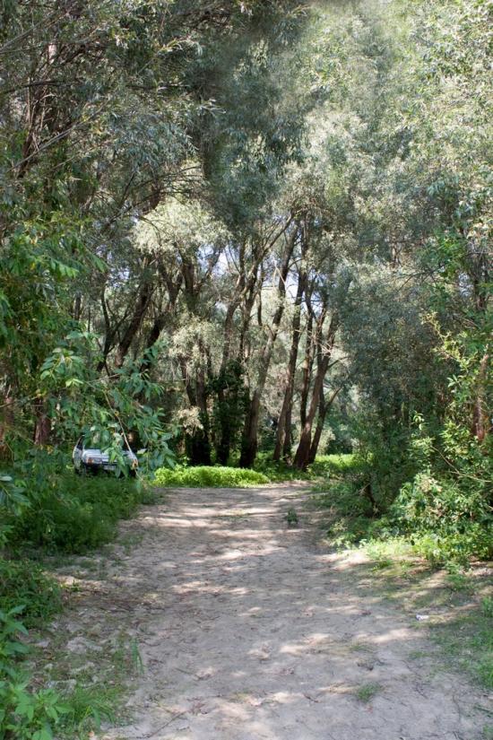 Шестовиця з panoramio.com - Шестовица