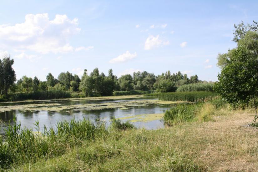 Чугуїв з panoramio.com - Чугуев