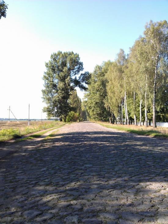 Великі Крушлинці з panoramio.com - Великі Крушлинці