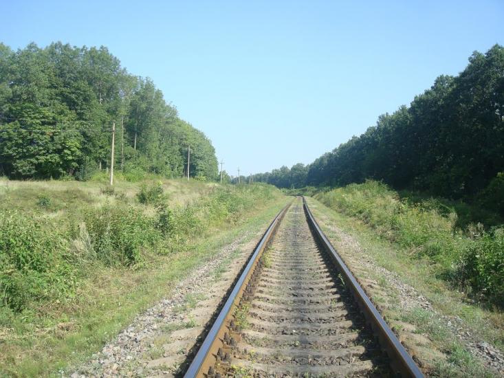 Панівці з panoramio.com - Panivtsi