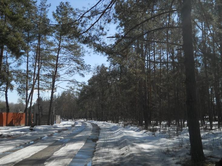 Проців з panoramio.com - Protsiv