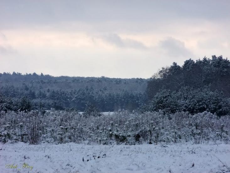 Руська Гута з panoramio.com - Руська Гута