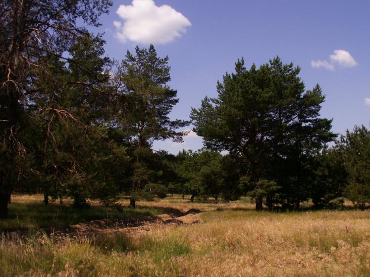 Баловне з panoramio.com - Баловное