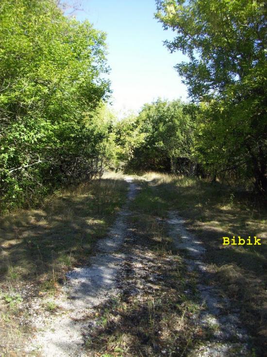 Губин з panoramio.com - Губин