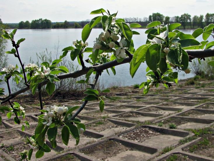 Журавка з panoramio.com - Журавка