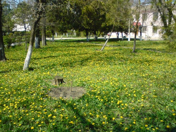 Кіровське з panoramio.com - Кировское