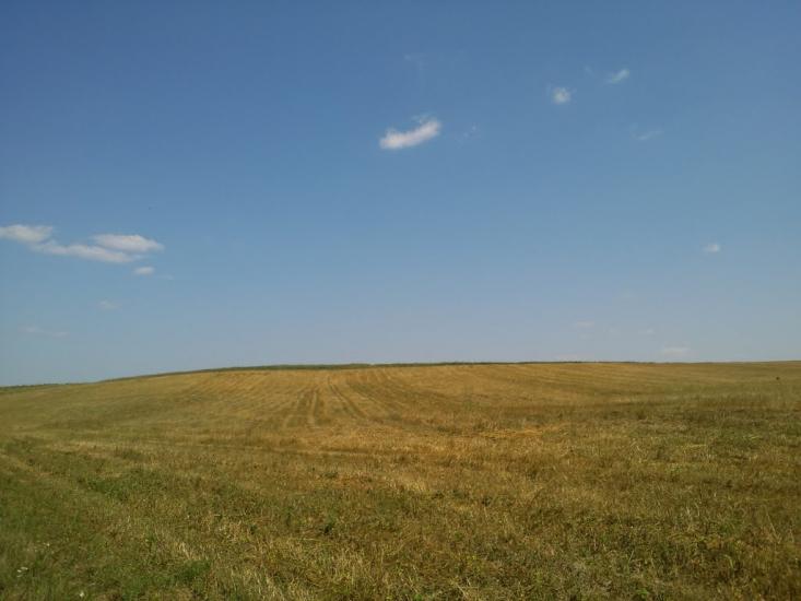 Кошляки з panoramio.com - Кошляки