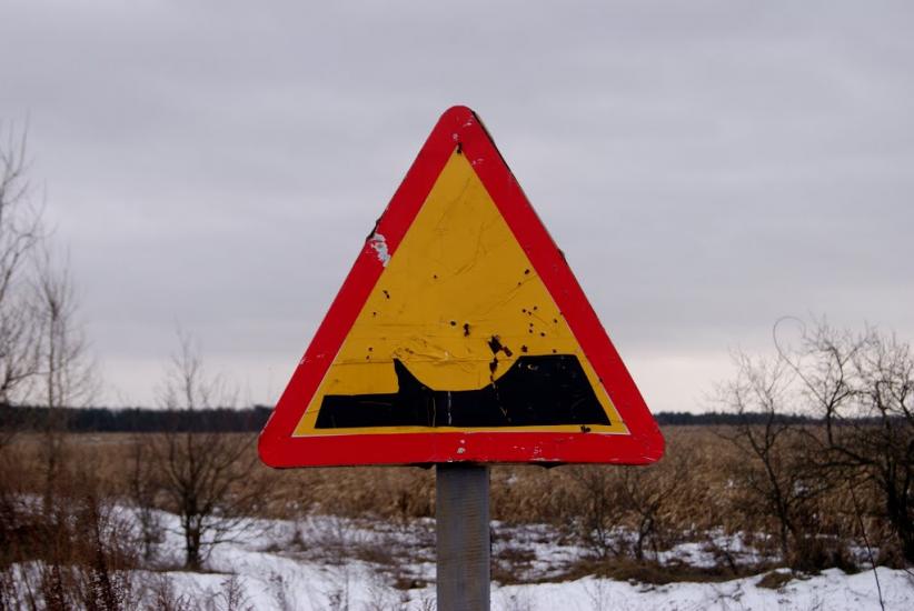Звози з panoramio.com - Zvozy
