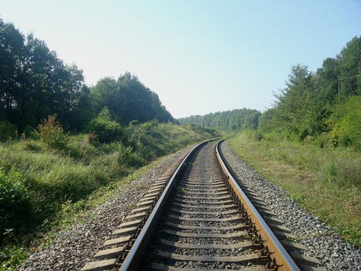 Панівці з panoramio.com - Panivtsi