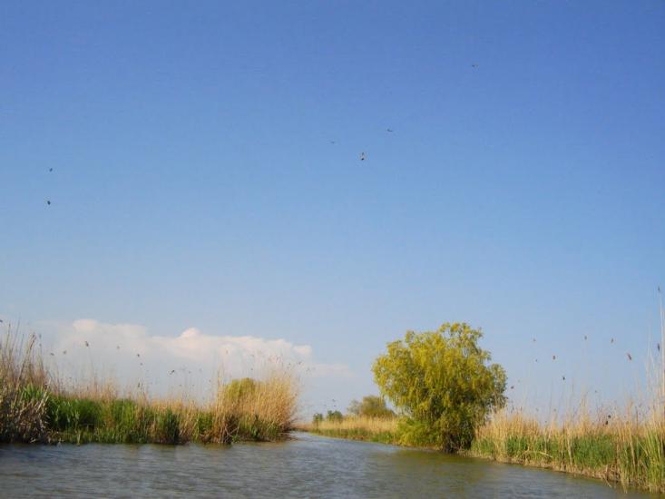 Приморське з panoramio.com - Приморское