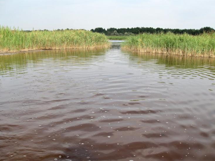 Раденськ з panoramio.com - Radensk