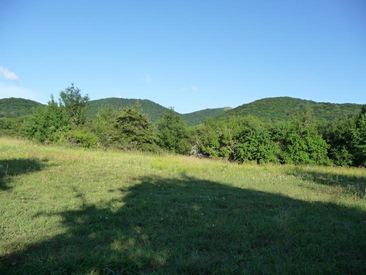 Алексєєвка з panoramio.com - Алексєєвка