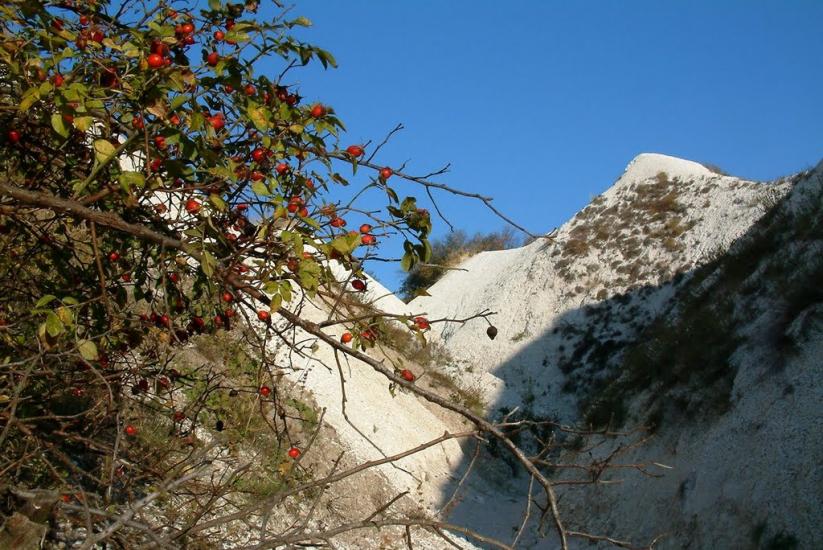 Дворічна з panoramio.com - Дворічна