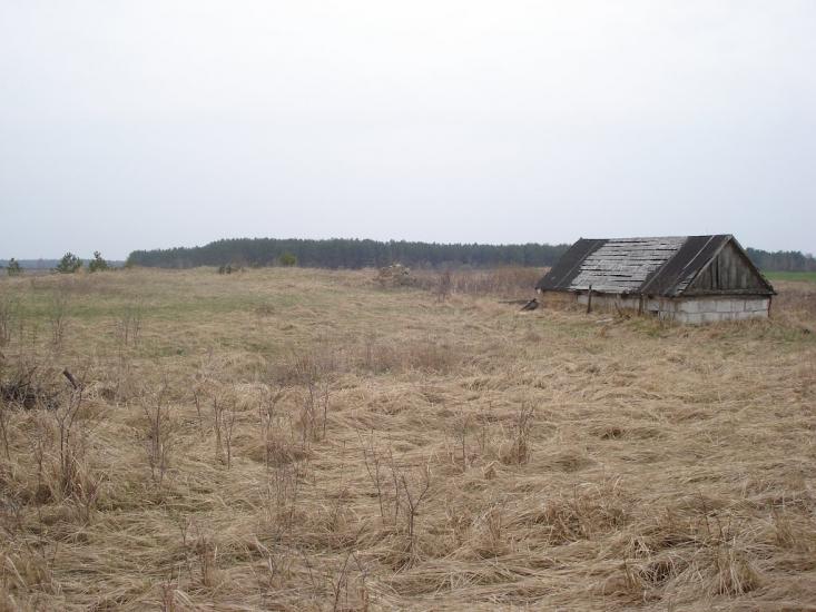 Ниговищі з panoramio.com - Ниговищи