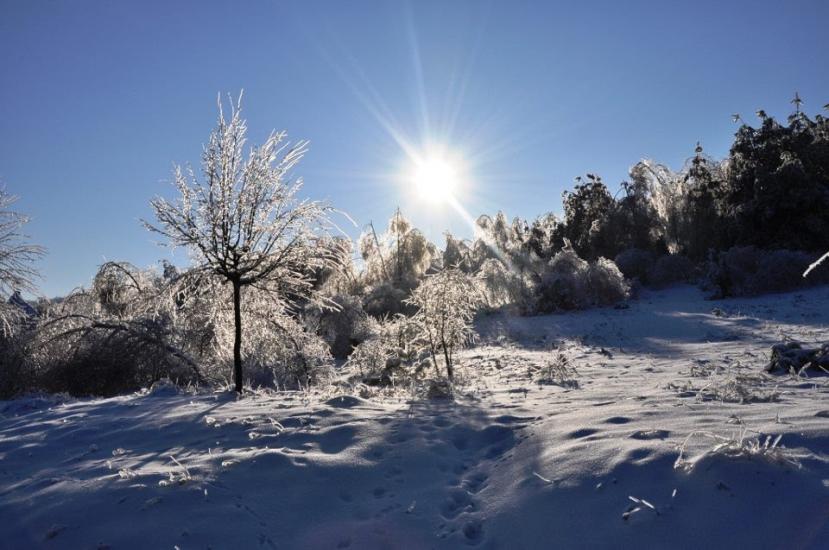 Крехів з panoramio.com - Крехів