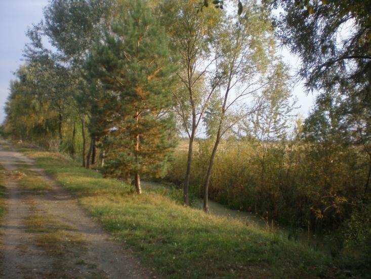 Проців з panoramio.com - Процев
