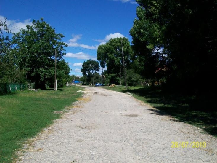 Ружичанка з panoramio.com - Ruzhychanka