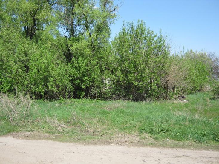 Коновалове з panoramio.com - Коновалово
