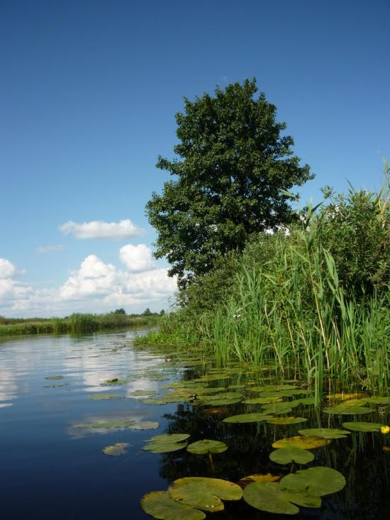 Угриничі з panoramio.com - Угриничі