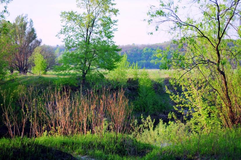 Хомине з panoramio.com - Хомино